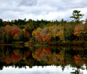 Превью обои лес, отражение, озеро, осень, пейзаж