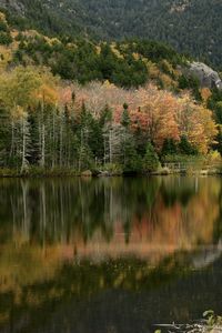 Превью обои лес, отражение, озеро, осень, природа, пейзаж