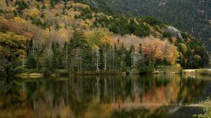 Превью обои лес, отражение, озеро, осень, природа, пейзаж