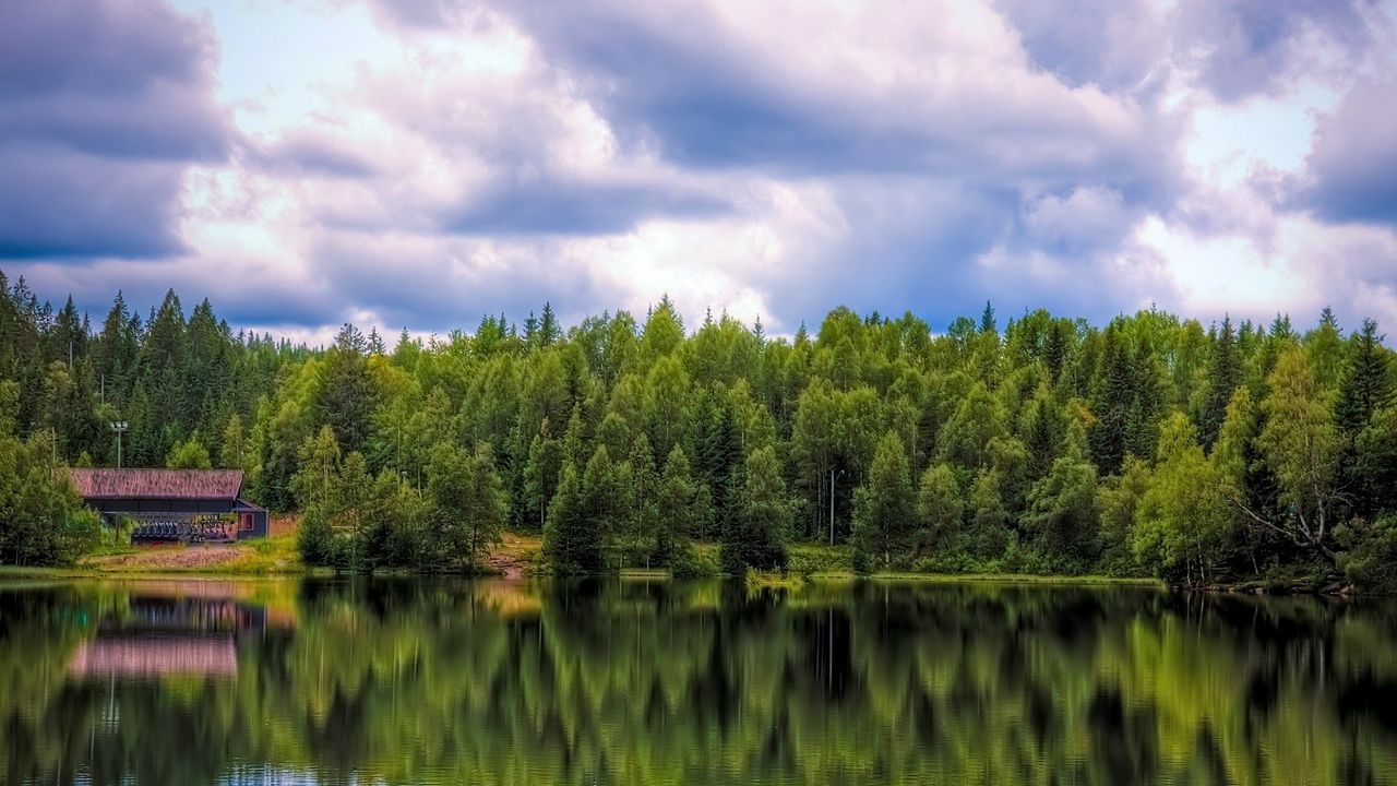 Обои лес, отражение, вода, домик