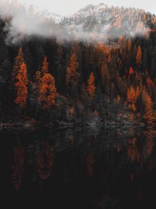 Превью обои лес, озеро, берег, горы, пейзаж