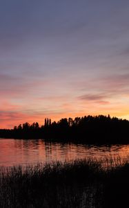 Превью обои лес, озеро, деревья, трава, темный