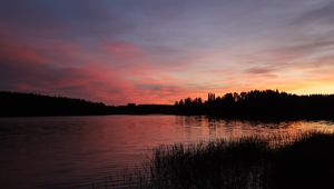 Превью обои лес, озеро, деревья, трава, темный