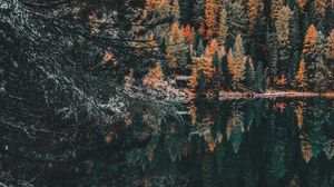 Превью обои лес, озеро, деревья, вода, отражение