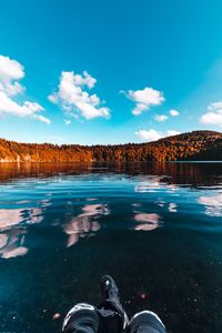Превью обои лес, озеро, деревья, лед, небо