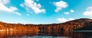 Превью обои лес, озеро, деревья, лед, небо