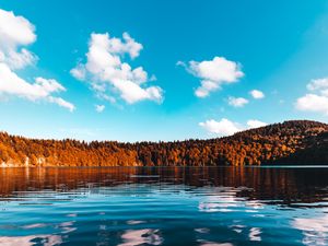 Превью обои лес, озеро, деревья, лед, небо