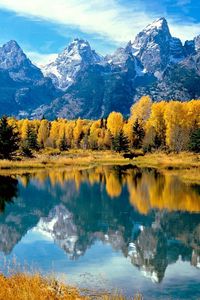 Превью обои лес, озеро, деревья, осень, национальный парк, вайоминг, отражение