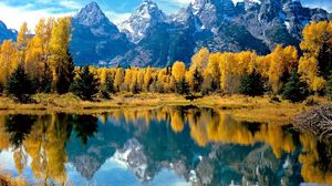 Превью обои лес, озеро, деревья, осень, национальный парк, вайоминг, отражение