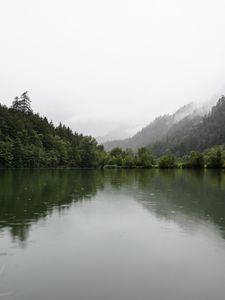 Превью обои лес, озеро, ель, отражение, туман