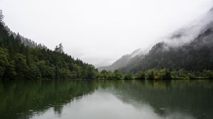 Превью обои лес, озеро, ель, отражение, туман