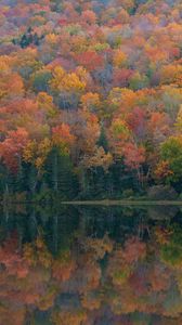 Превью обои лес, озеро, отражение, осень, природа