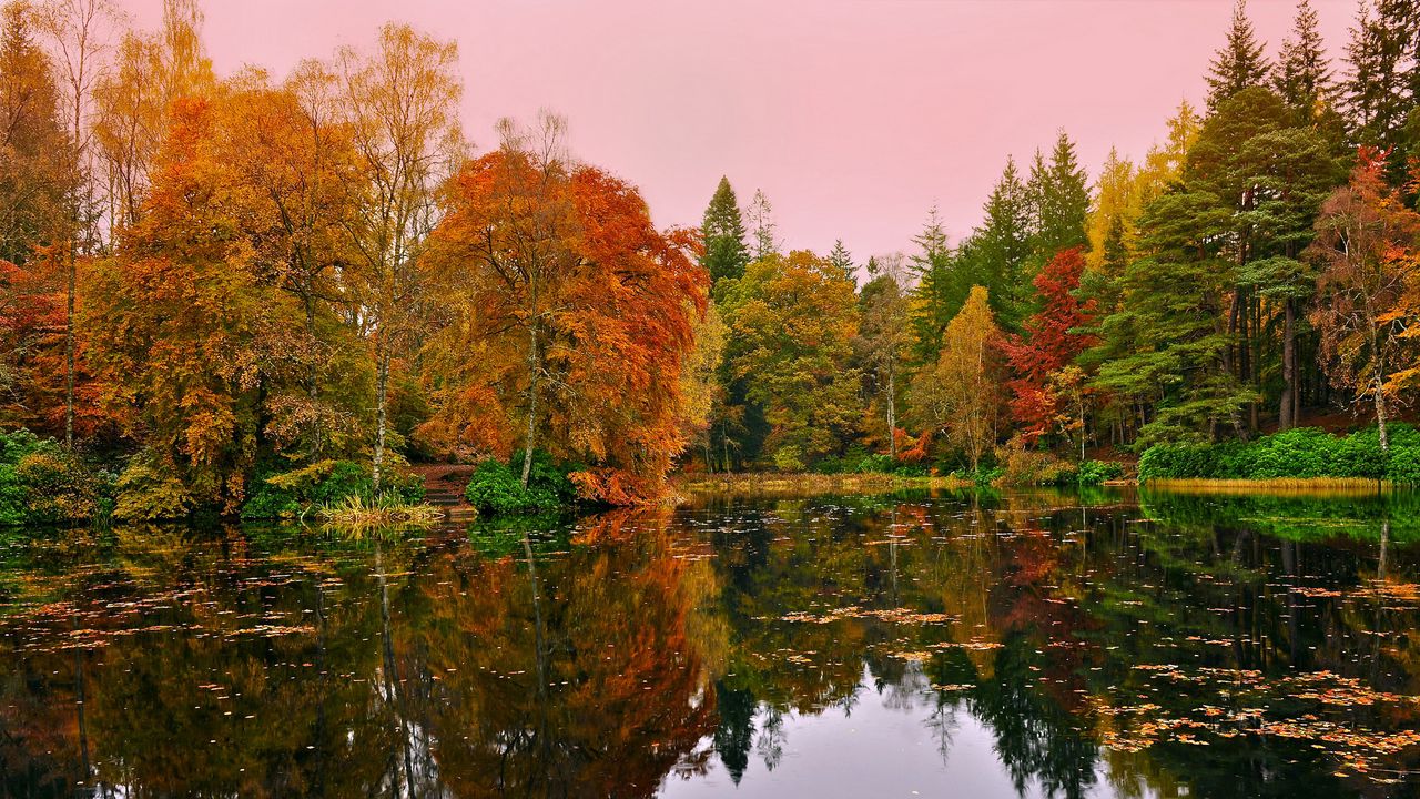 Обои лес, озеро, отражение, осень
