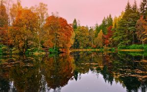 Превью обои лес, озеро, отражение, осень