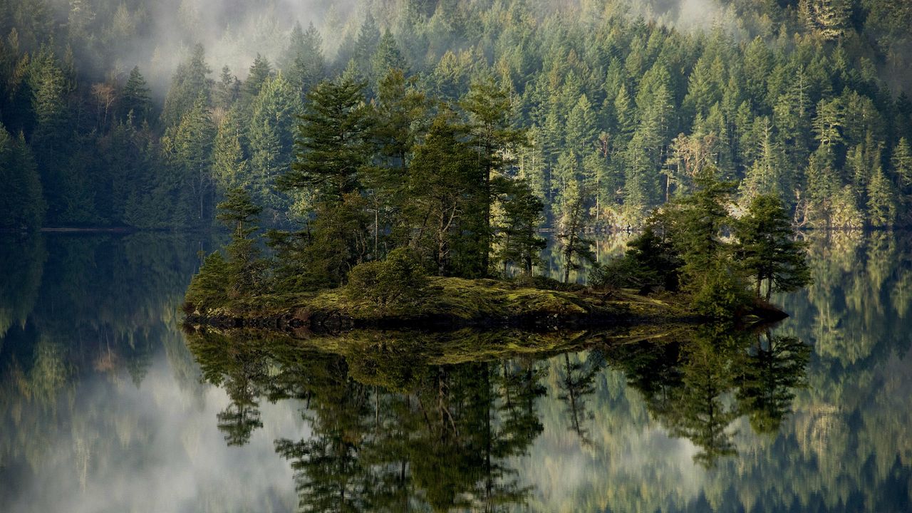 Обои лес, озеро, отражение, остров, туман