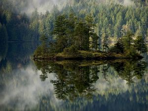 Превью обои лес, озеро, отражение, остров, туман