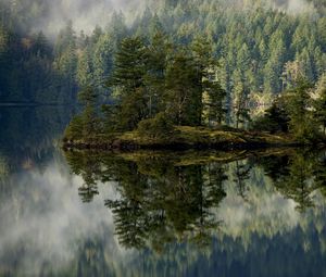 Превью обои лес, озеро, отражение, остров, туман