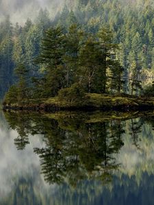 Превью обои лес, озеро, отражение, остров, туман