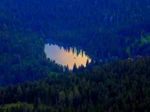 Превью обои лес, озеро, природа, вид сверху