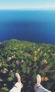 Превью обои лес, озеро, вид сверху, земля, вода, обзор