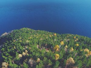 Превью обои лес, озеро, вид сверху, земля, вода, обзор