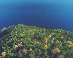 Превью обои лес, озеро, вид сверху, земля, вода, обзор