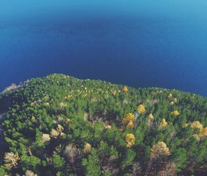 Превью обои лес, озеро, вид сверху, земля, вода, обзор