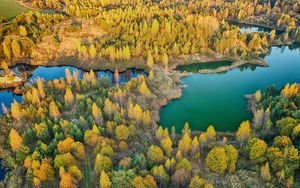 Превью обои лес, озеро, вид сверху, пейзаж, осень