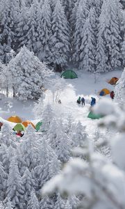 Превью обои лес, палатки, кемпинг, снег, зима