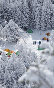 Превью обои лес, палатки, кемпинг, снег, зима