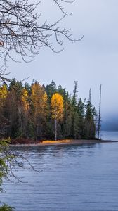 Превью обои лес, пейзаж, осень, деревья, озеро