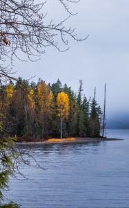 Превью обои лес, пейзаж, осень, деревья, озеро