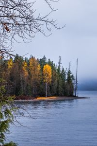 Превью обои лес, пейзаж, осень, деревья, озеро