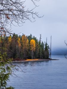 Превью обои лес, пейзаж, осень, деревья, озеро