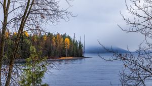 Превью обои лес, пейзаж, осень, деревья, озеро