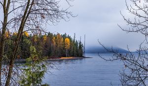 Превью обои лес, пейзаж, осень, деревья, озеро