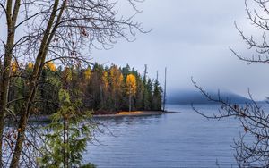 Превью обои лес, пейзаж, осень, деревья, озеро