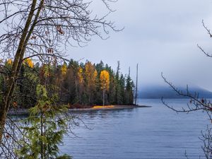 Превью обои лес, пейзаж, осень, деревья, озеро