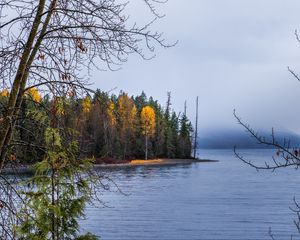 Превью обои лес, пейзаж, осень, деревья, озеро