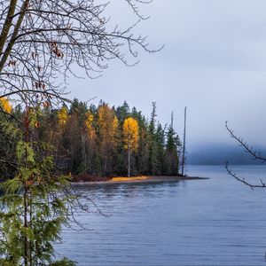 Превью обои лес, пейзаж, осень, деревья, озеро