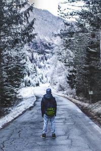 Превью обои лес, прогулка, одиночество, зима, дорога