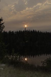 Превью обои лес, река, деревья, луна, вечер, природа