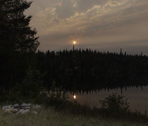 Превью обои лес, река, деревья, луна, вечер, природа