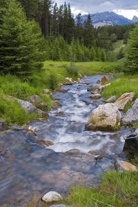 Превью обои лес, река, поток, горы, зелень