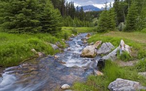 Превью обои лес, река, поток, горы, зелень