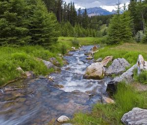 Превью обои лес, река, поток, горы, зелень