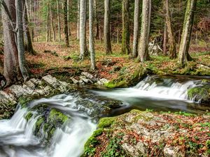 Превью обои лес, река, природа