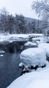 Превью обои лес, река, снег, мост, снежный