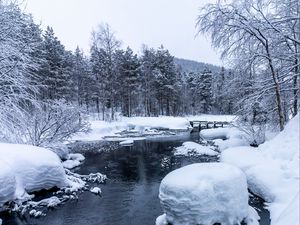 Превью обои лес, река, снег, мост, снежный