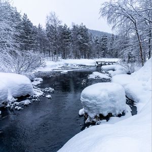 Превью обои лес, река, снег, мост, снежный